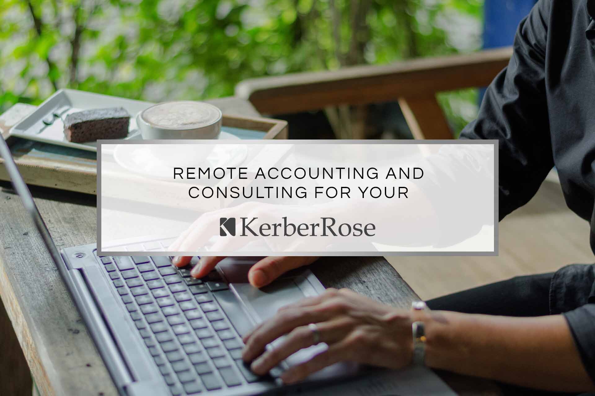 Remote Accounting and Consulting for Your Organization | KerberRose