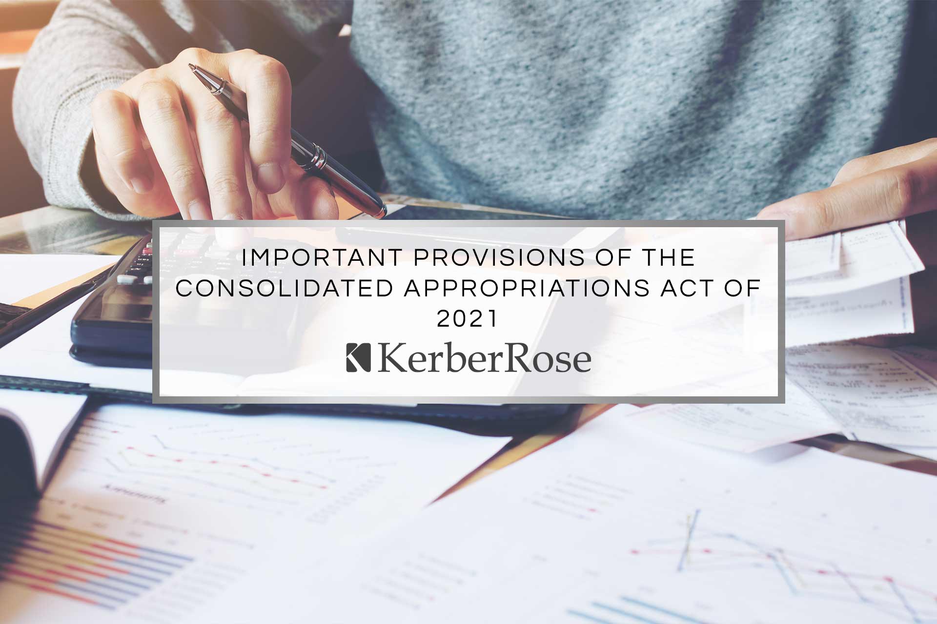 Important Provisions of the Consolidated Appropriations Act of 2021 | KerberRose